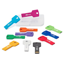 Colorful Key Shape Metal Pen Drive with Free OEM Service